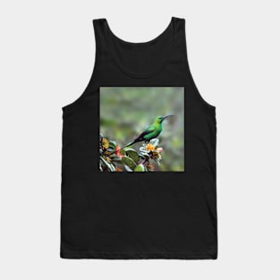 Gorgeous Malachite Sunbird | African Wildlife Tank Top